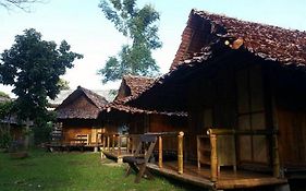 Pai Cat Hut
